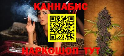 стаф Пенза