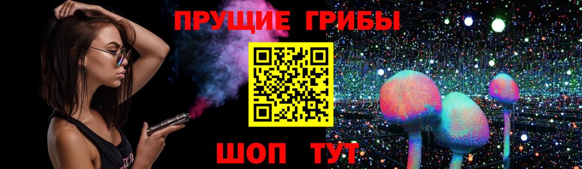 Тимашёвск  Псилоцибиновые грибы Psilocybe  Псилоцибиновые грибы мухоморы  Вход с VPN 